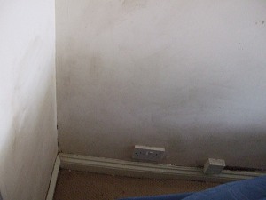 woodworm treatment Hampshire