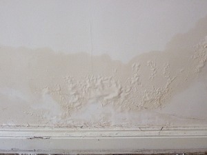 damp treatments portsmouth