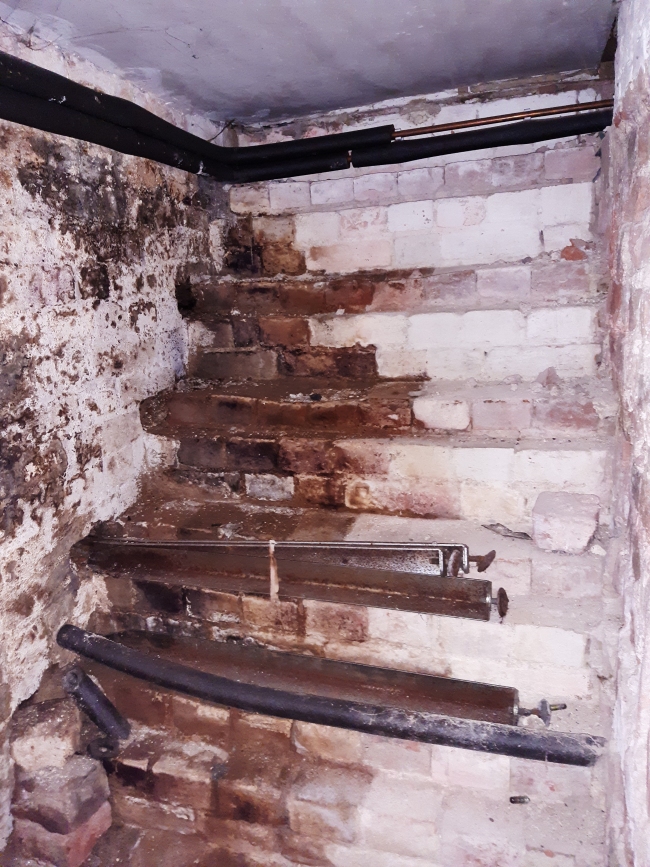 woodworm treatment Hampshire