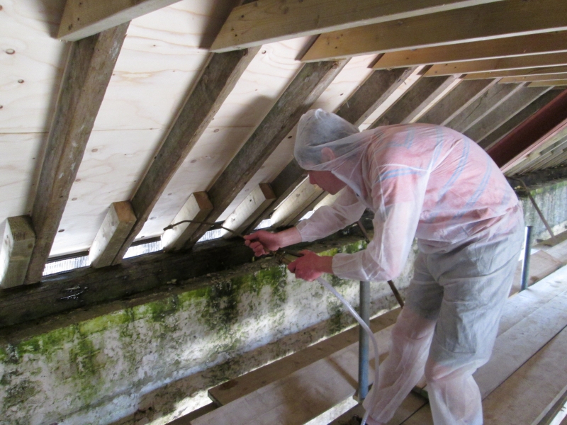 woodworm treatment Hampshire